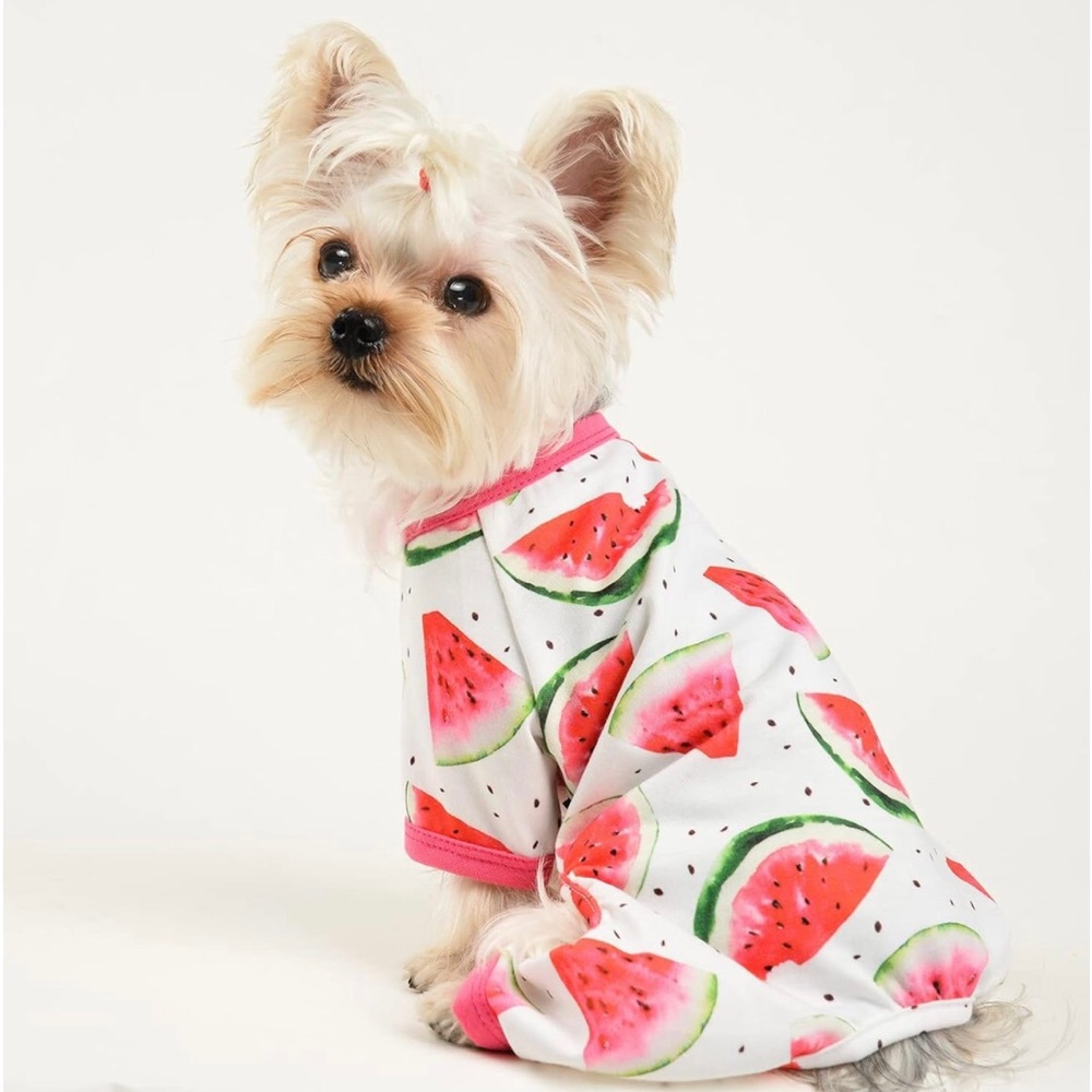 Dog Pajamas for Small Dogs, (Watermelon, X-Small)